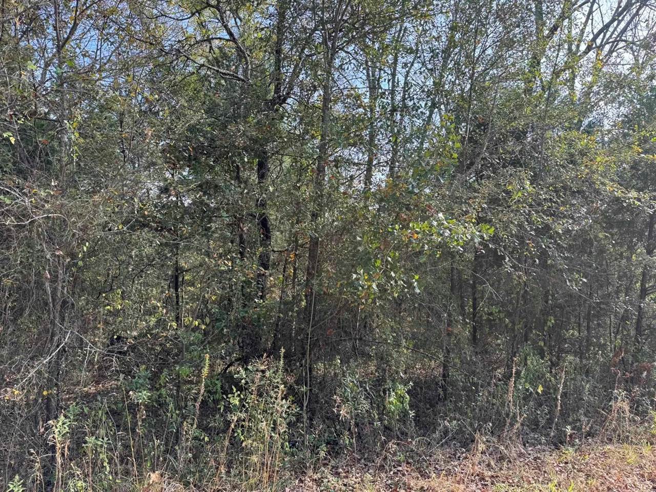 150 Buffalo Springs, Mabank, TX 75156