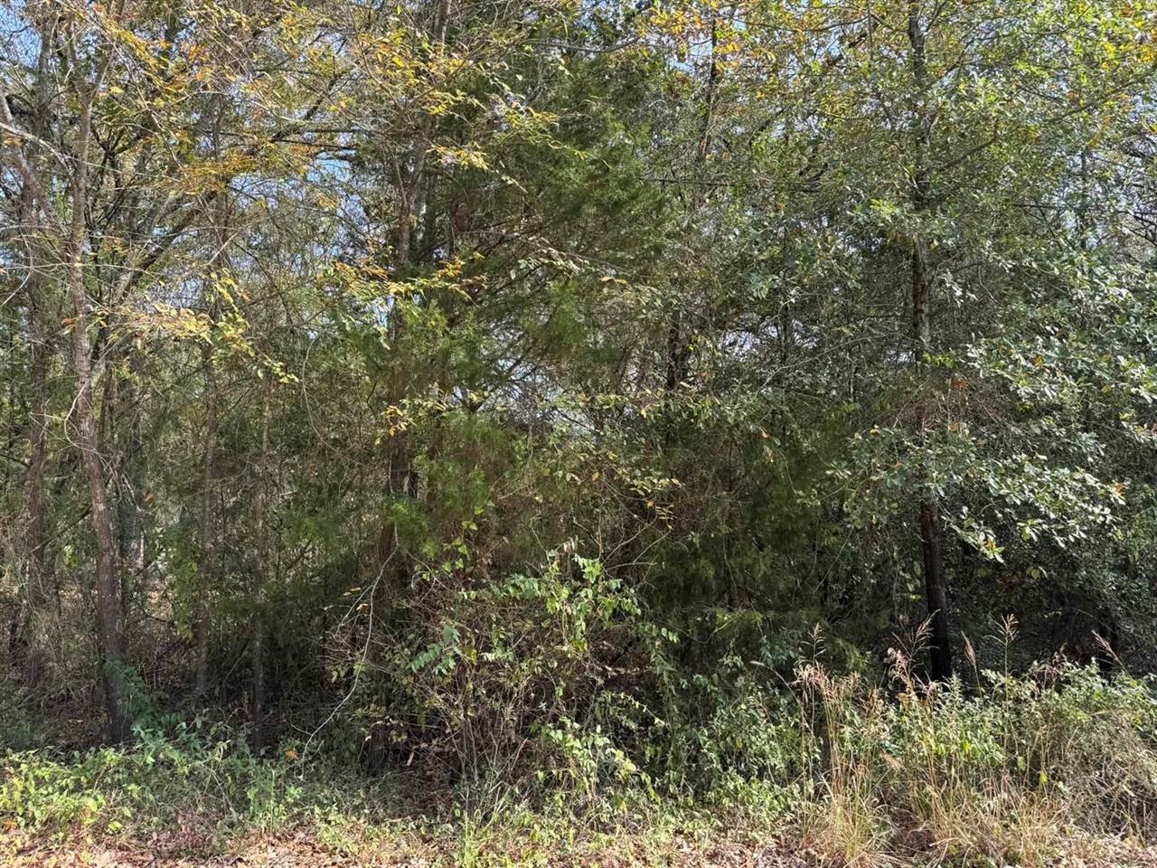 148 Buffalo Springs Rd, Mabank, TX 75156