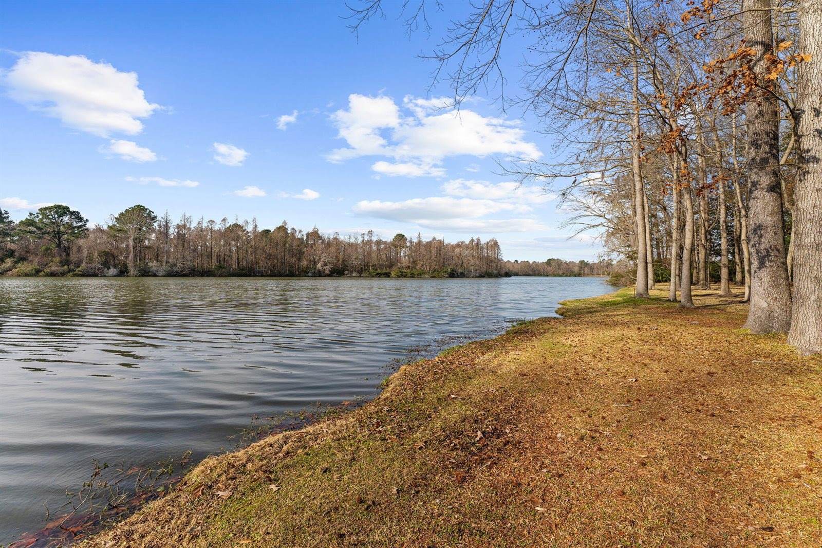 146 Loganberry Circle, Goose Creek, SC 29445