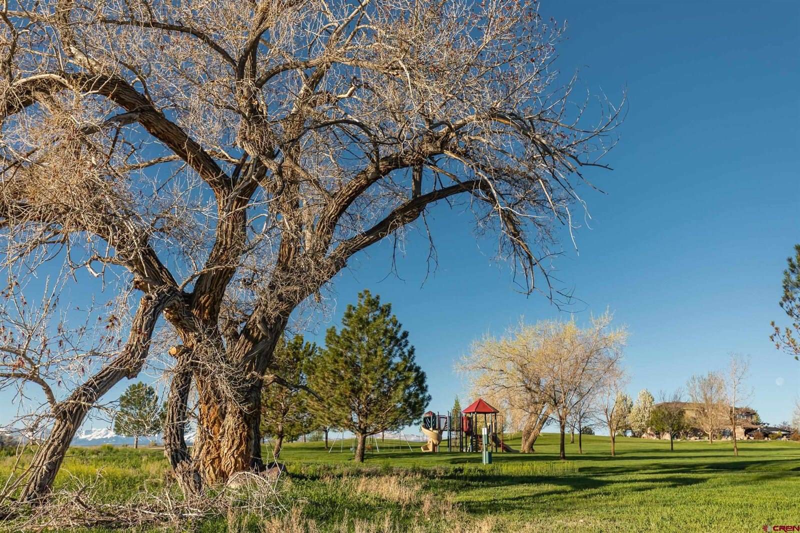 Lot 38-A Mocha Court, Montrose, CO 81401
