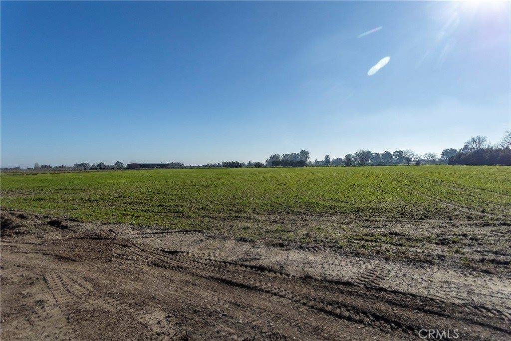 4584 County Road Dd, Orland, CA 95963