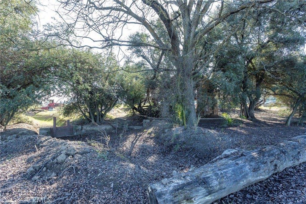 4584 County Road Dd, Orland, CA 95963