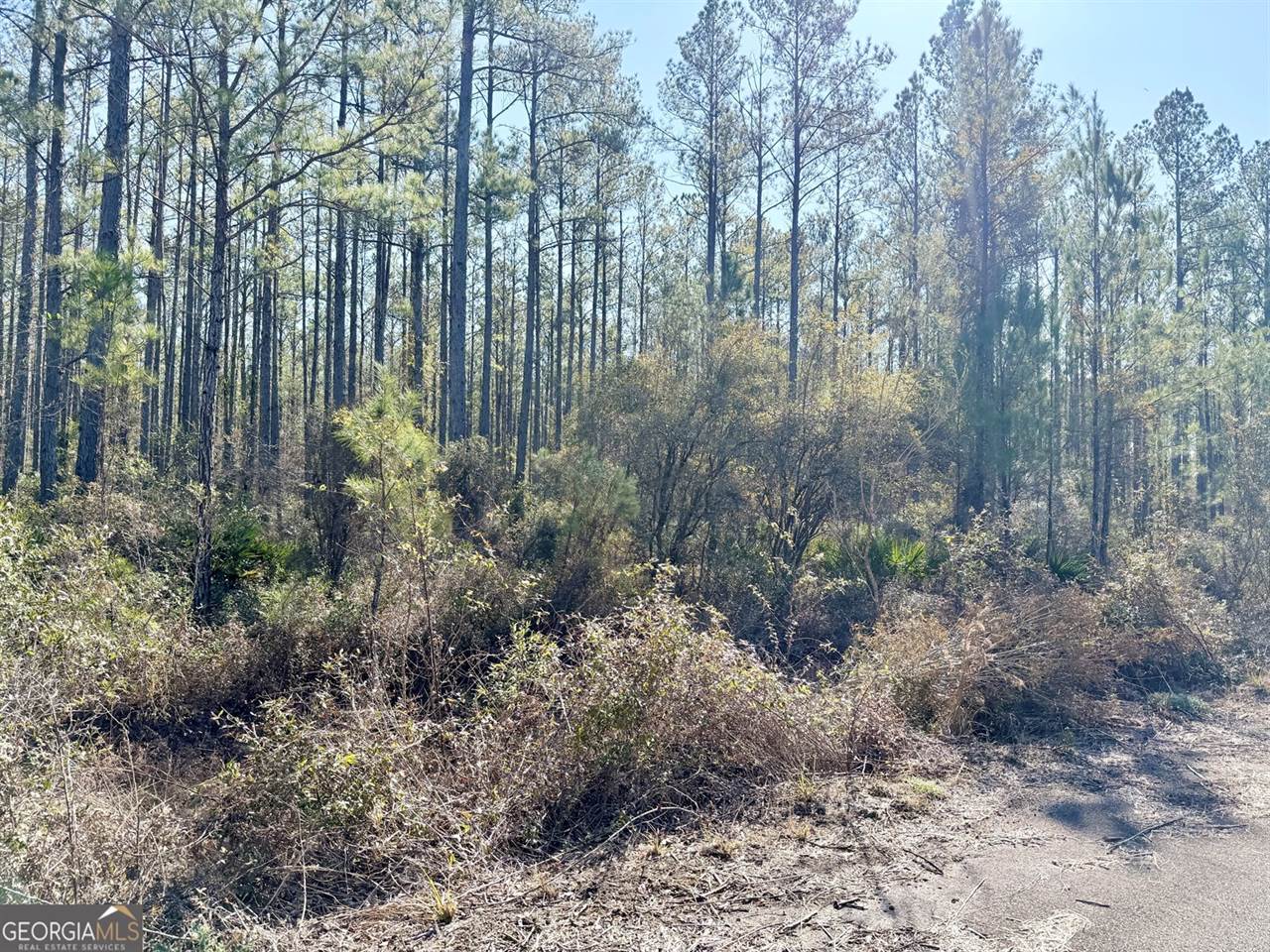 18 Satilla Plantation, Waynesville, GA 31566