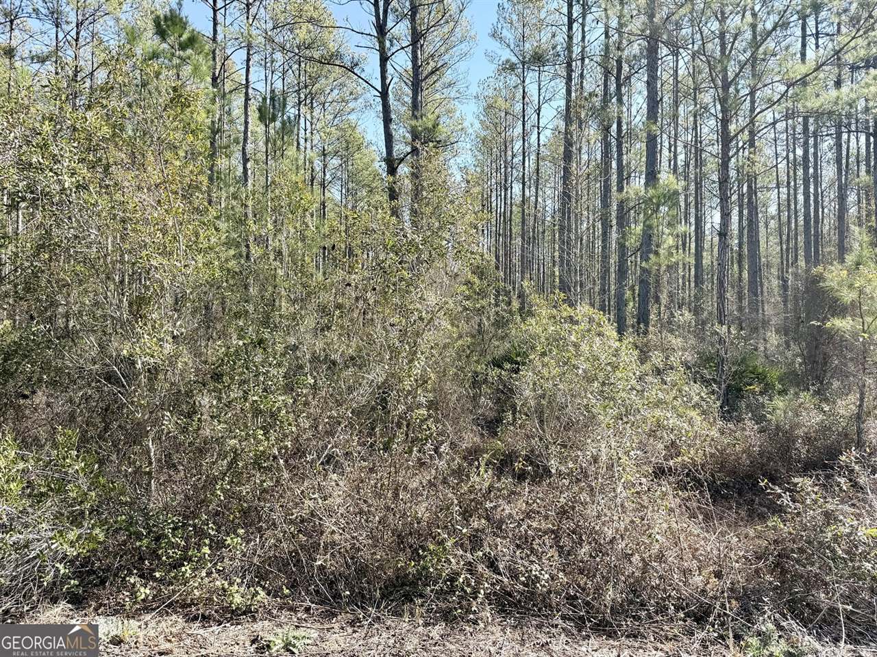 18 Satilla Plantation, Waynesville, GA 31566