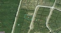 18 Satilla Plantation, Waynesville, GA 31566