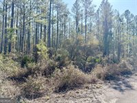 18 Satilla Plantation, Waynesville, GA 31566