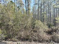 18 Satilla Plantation, Waynesville, GA 31566