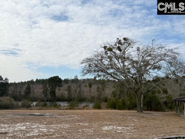 413 Blue Artesian, #413, Lexington, SC 29073