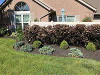 4081 Chennin Drive, Columbus, OH 43230