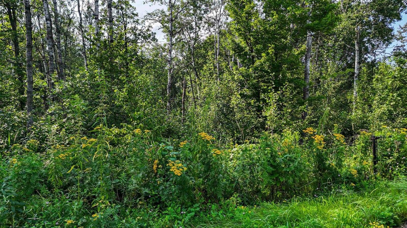 TBD1 Winter Creek Court, Nisswa, MN 56468