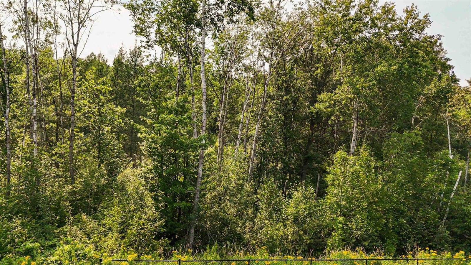 TBD3 Winter Creek Court, Nisswa, MN 56468