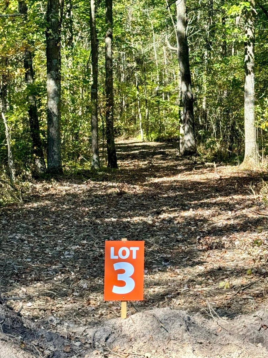 TBD3 Winter Creek Court, Nisswa, MN 56468