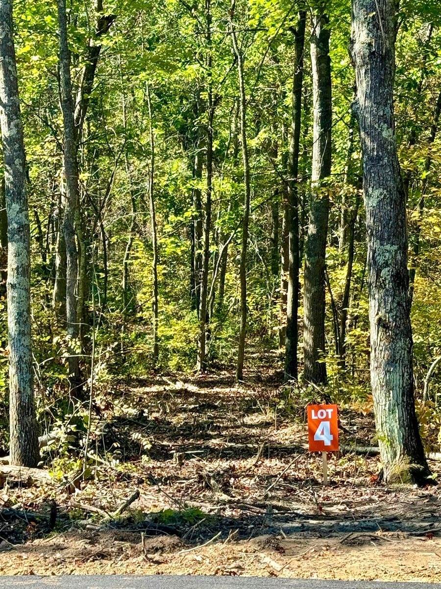 TBD4 Winter Creek Court, Nisswa, MN 56468