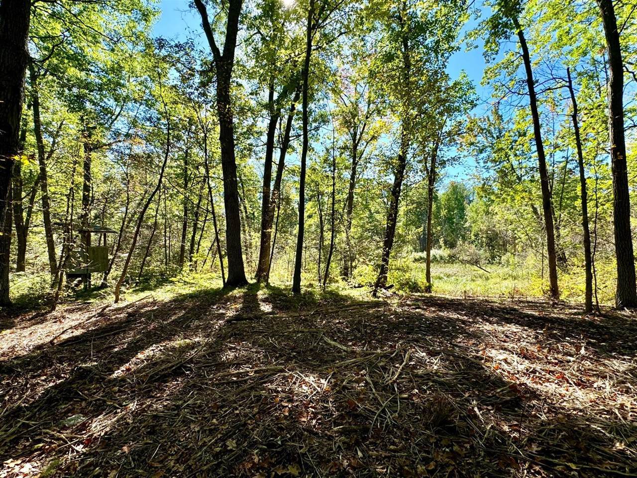 TBD4 Winter Creek Court, Nisswa, MN 56468