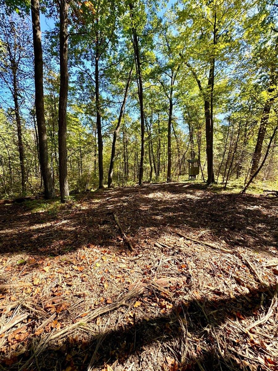 TBD4 Winter Creek Court, Nisswa, MN 56468