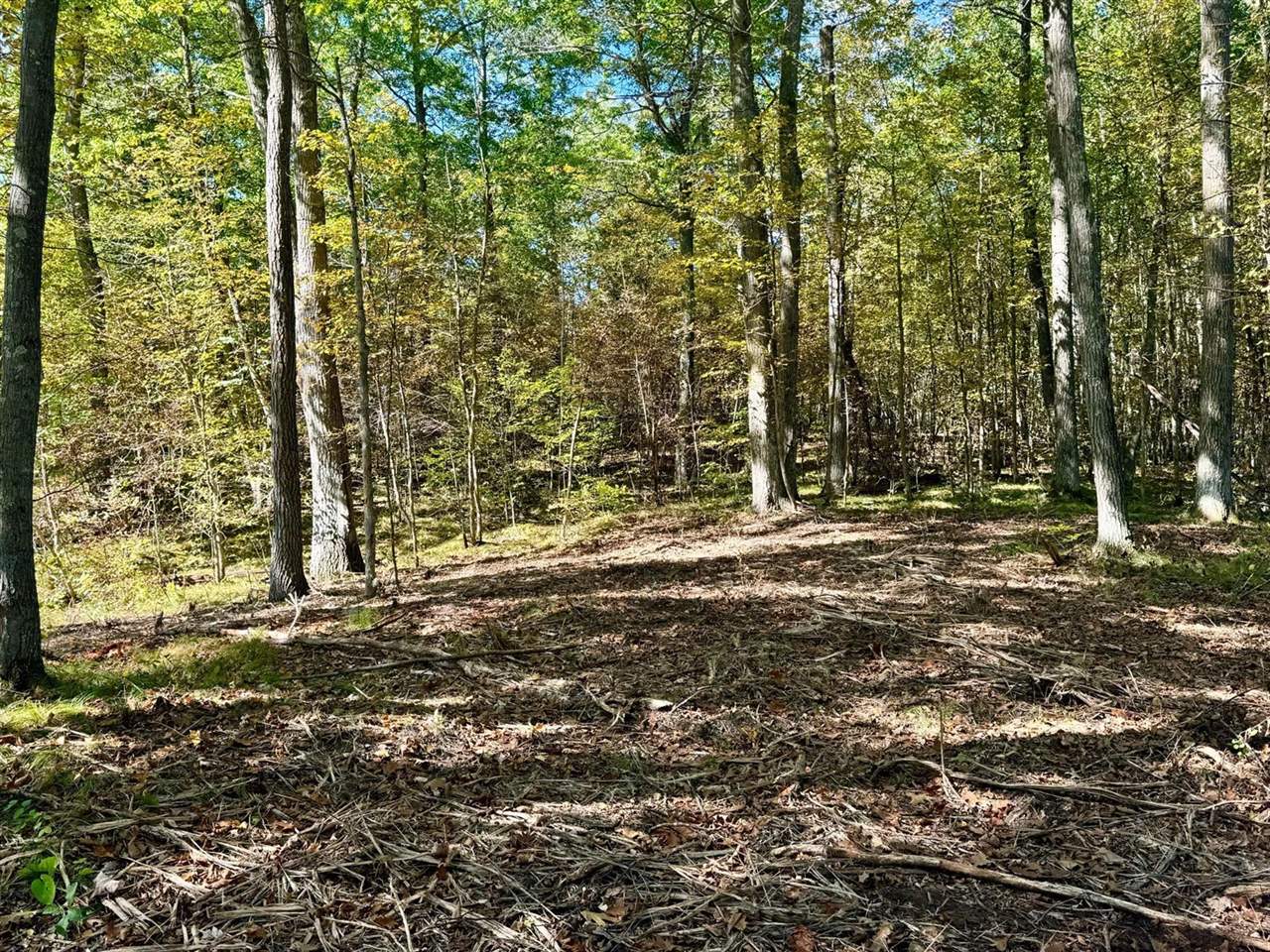 TBD4 Winter Creek Court, Nisswa, MN 56468