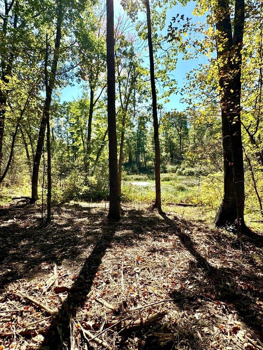 TBD4 Winter Creek Court, Nisswa, MN 56468