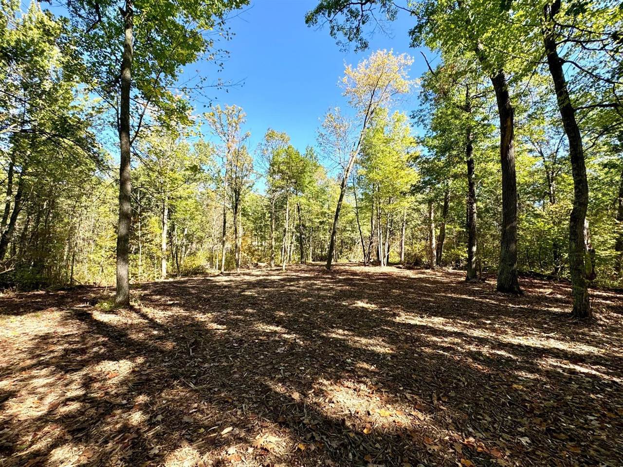 TBD5 Winter Creek Court, Nisswa, MN 56468