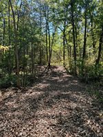 TBD5 Winter Creek Court, Nisswa, MN 56468