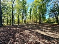 TBD5 Winter Creek Court, Nisswa, MN 56468