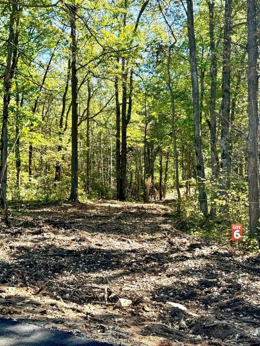 TBD6 Winter Creek Court, Nisswa, MN 56468