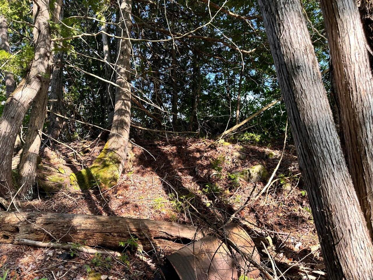 4C Carmichael Road, Littleton, ME 04730