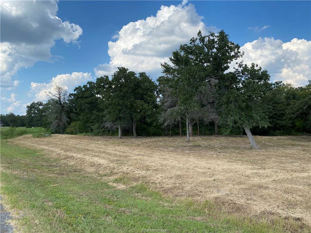 10144 Albert Drive, Iola, TX 77861