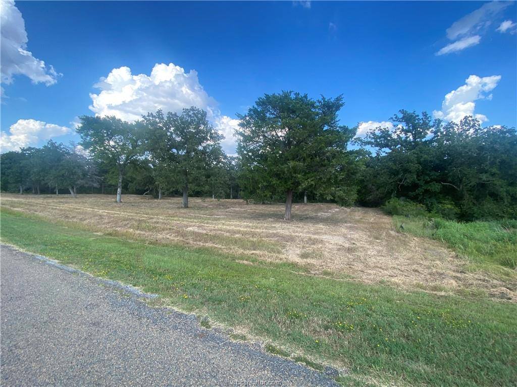 10144 Albert Drive, Iola, TX 77861