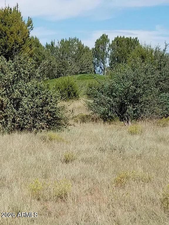 8388 Lake View Drive, #27, Show Low, AZ 85901