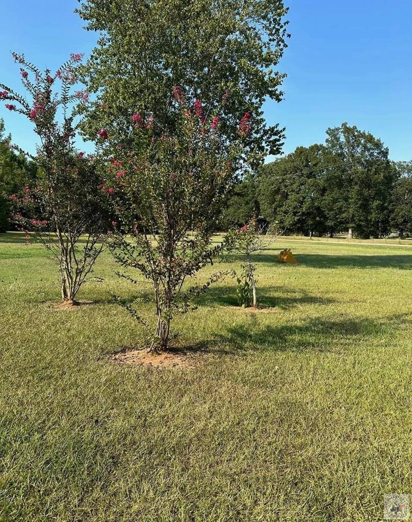 946 MC 29, Fouke, AR 71837