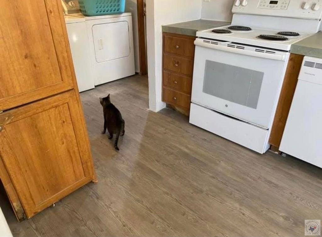 946 MC 29, Fouke, AR 71837