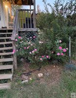 946 MC 29, Fouke, AR 71837