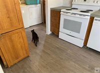 946 MC 29, Fouke, AR 71837