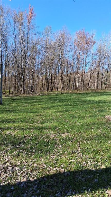 S825 Tower Road, Boyd, WI 54726