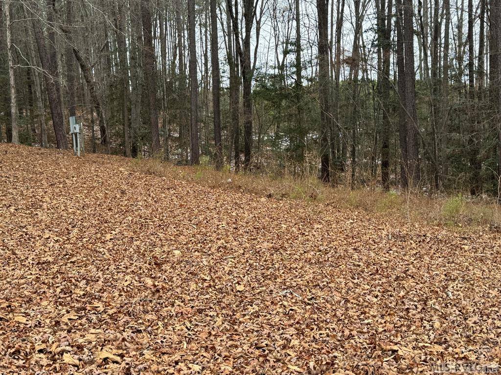 1674 Great Creek Drive, La Crosse, VA 23950