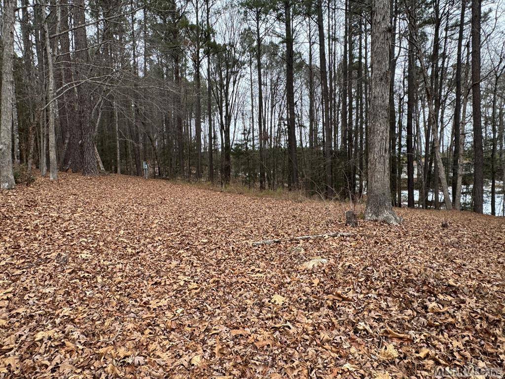 1674 Great Creek Drive, La Crosse, VA 23950