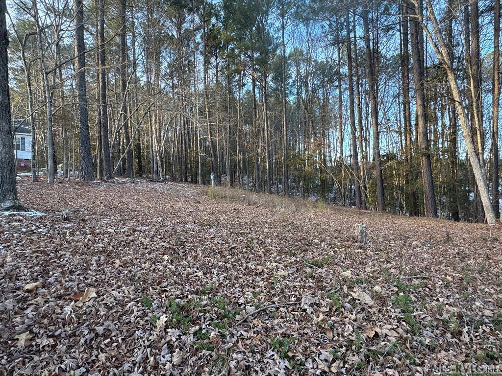 1674 Great Creek Drive, La Crosse, VA 23950