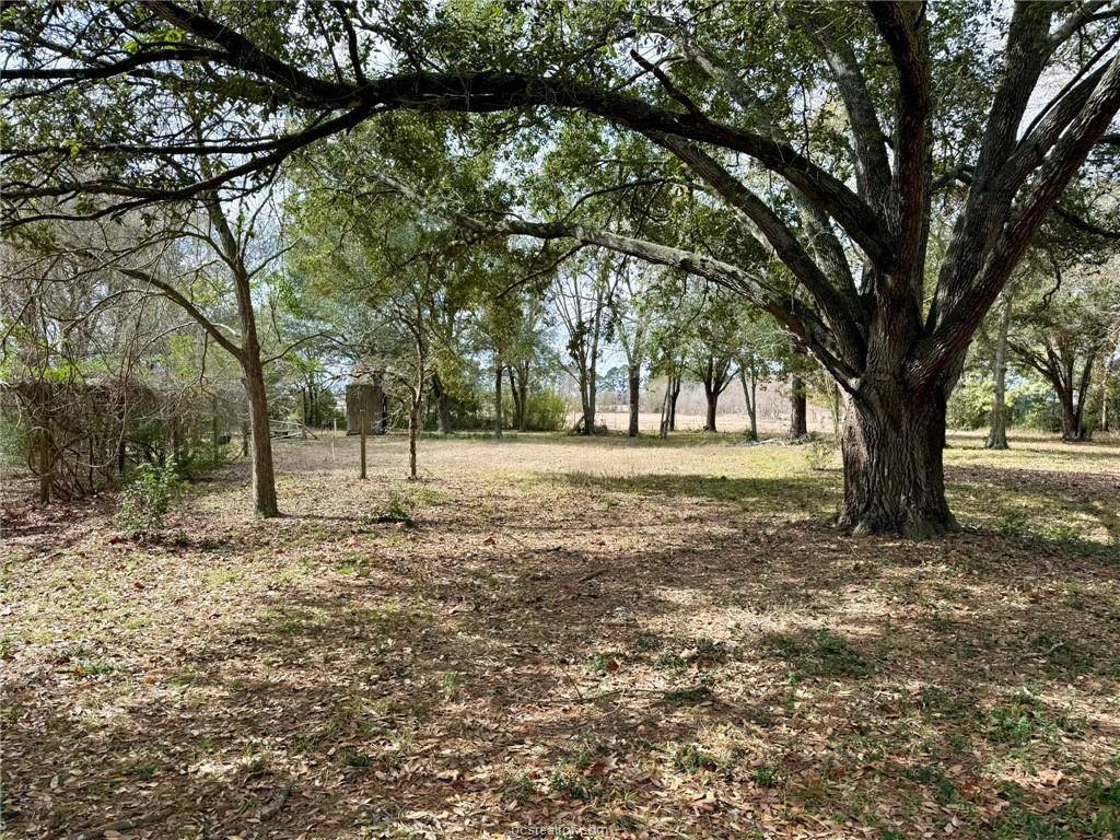 31318 Knebel Road, Waller, TX 77484
