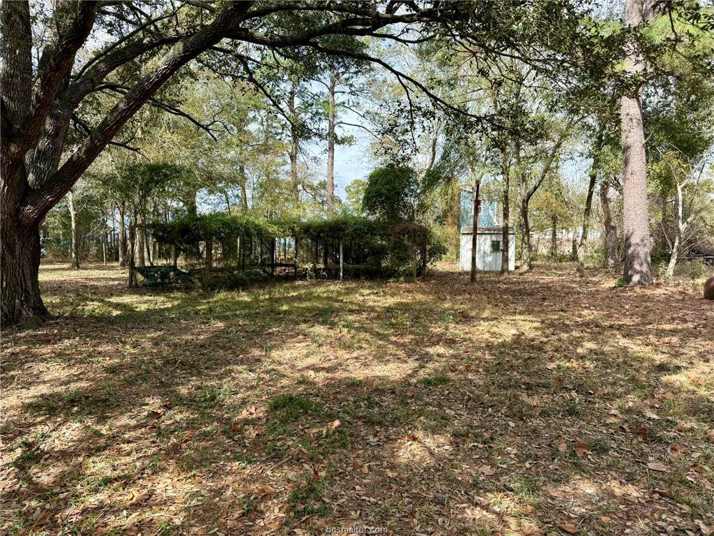 31318 Knebel Road, Waller, TX 77484