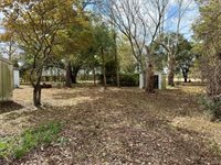 31318 Knebel Road, Waller, TX 77484