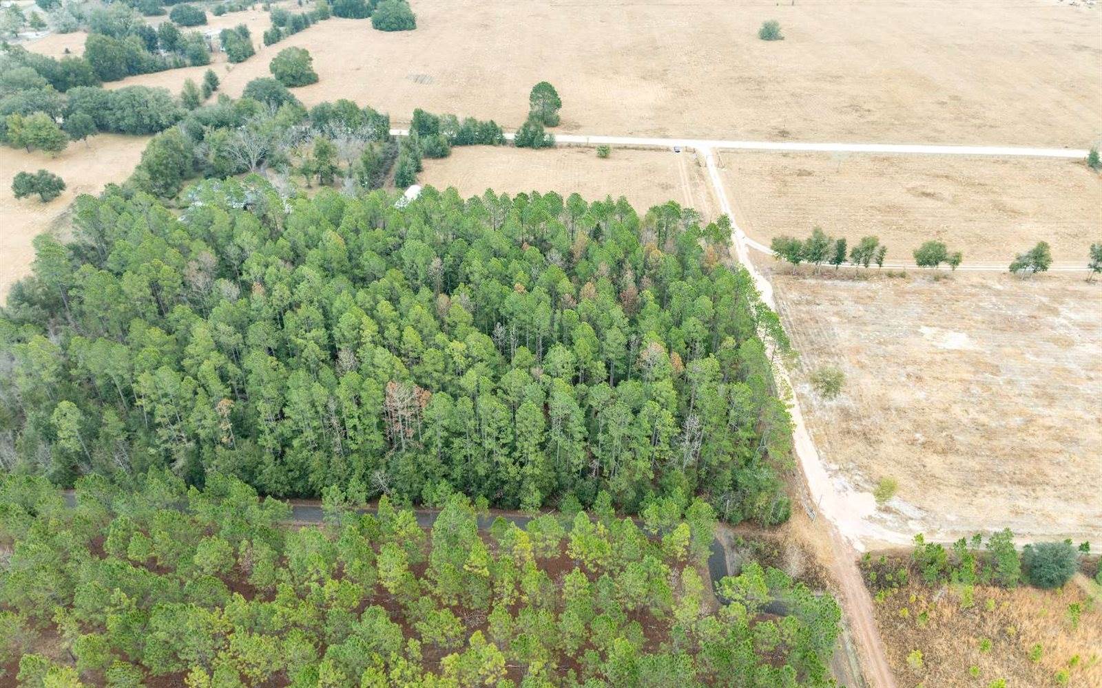 1250 SW Jafus Ave, Lake City, FL 32024