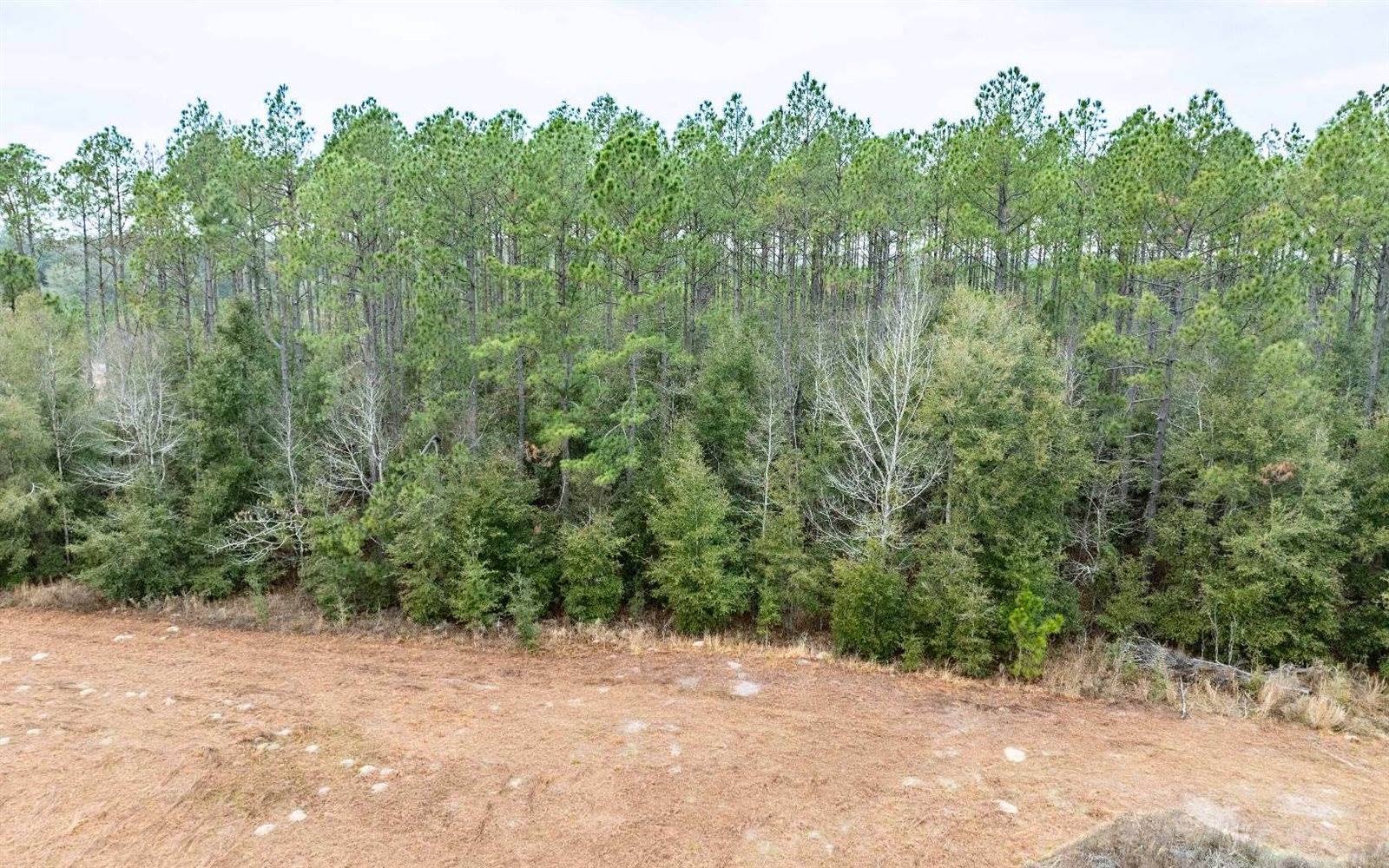 1250 SW Jafus Ave, Lake City, FL 32024