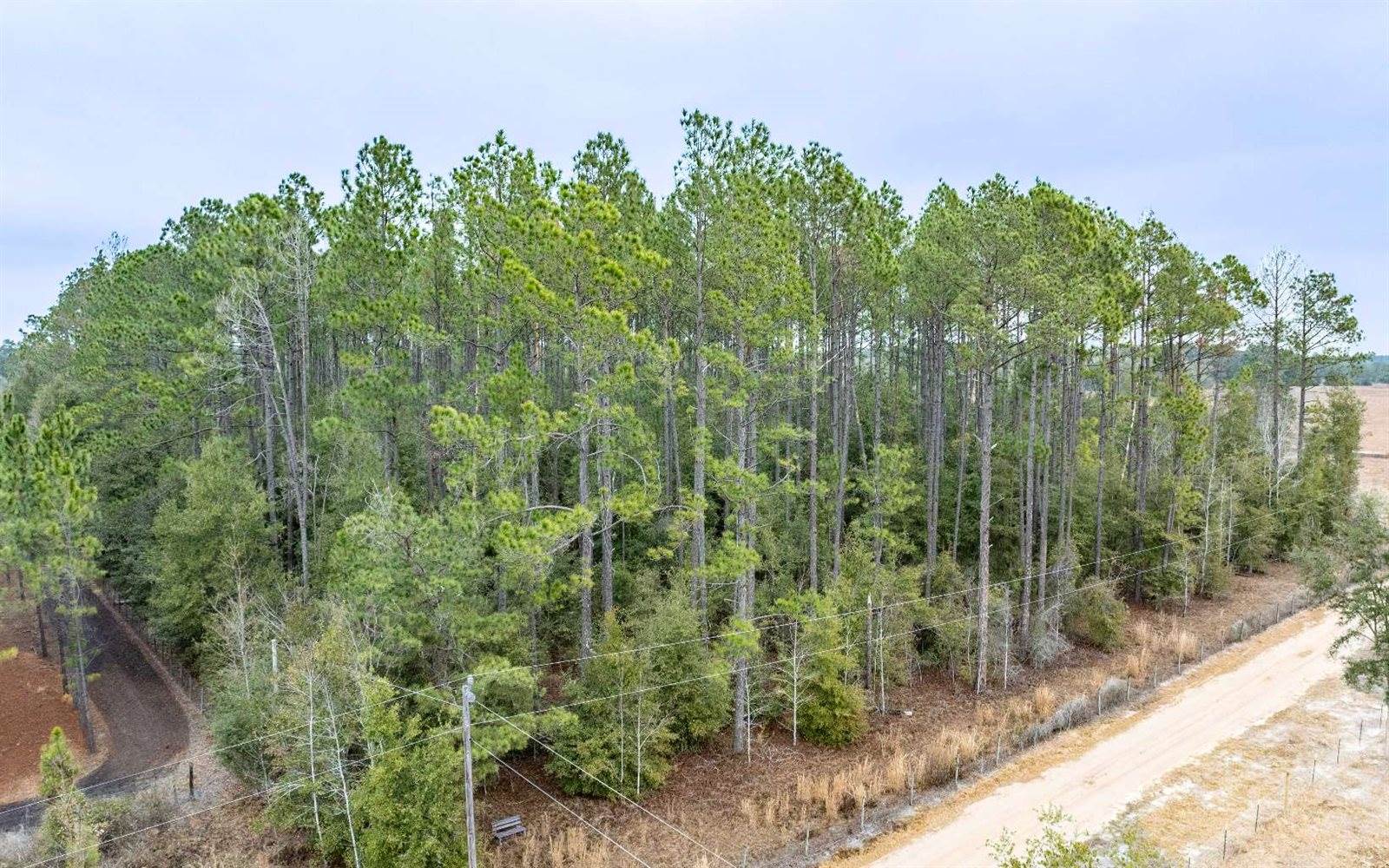 1250 SW Jafus Ave, Lake City, FL 32024