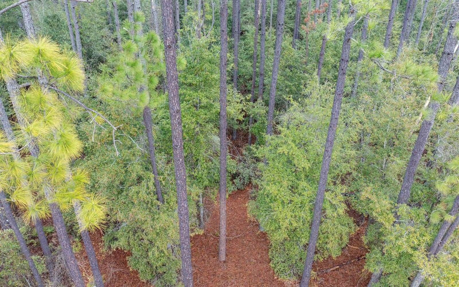 1250 SW Jafus Ave, Lake City, FL 32024