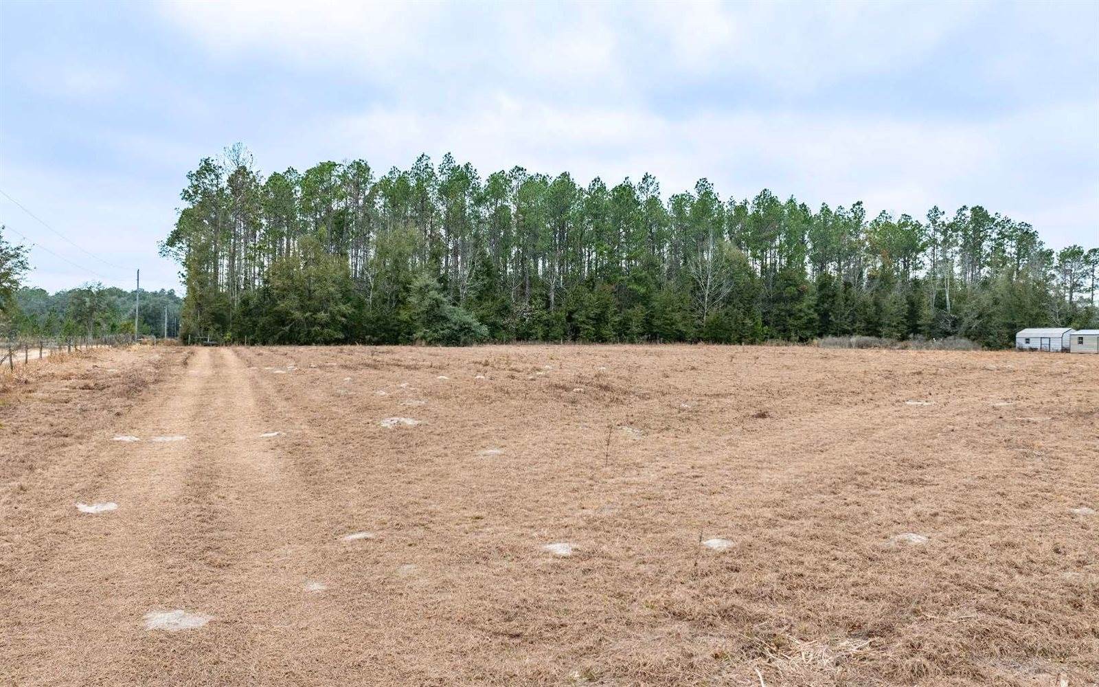 1250 SW Jafus Ave, Lake City, FL 32024