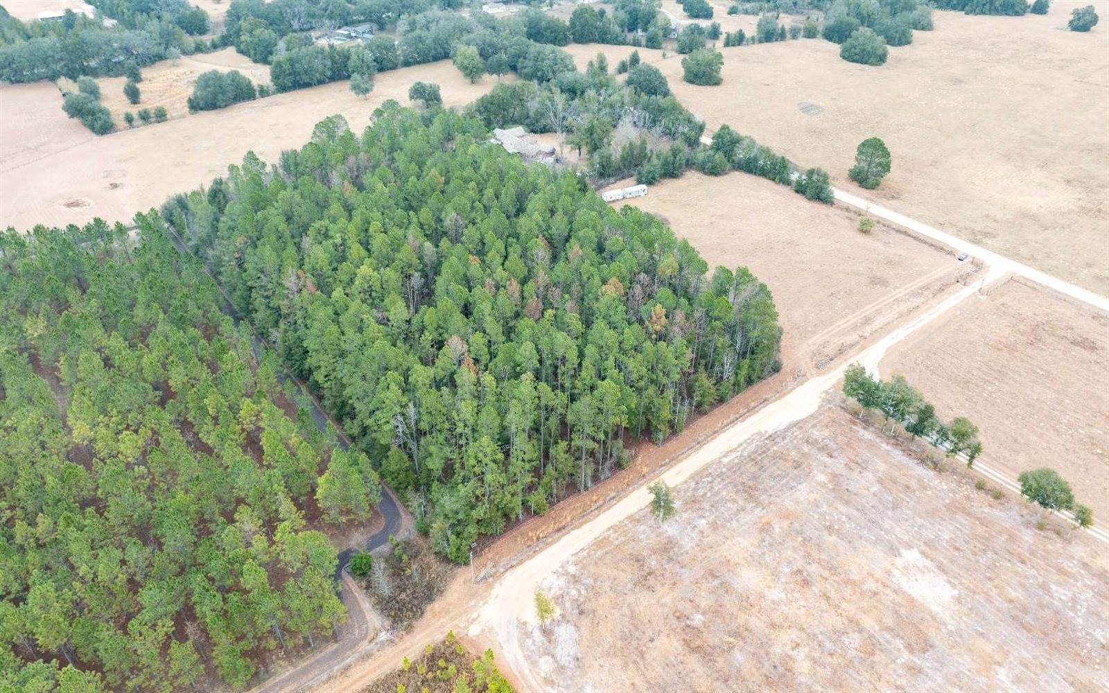 1250 SW Jafus Ave, Lake City, FL 32024