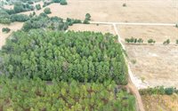 1250 SW Jafus Ave, Lake City, FL 32024