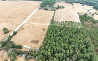 1250 SW Jafus Ave, Lake City, FL 32024