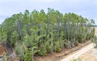1250 SW Jafus Ave, Lake City, FL 32024