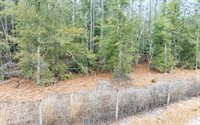 1250 SW Jafus Ave, Lake City, FL 32024